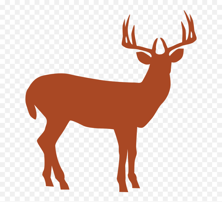 Home - North River Outfitting Background Deer In Sunset Png,Hunting Horn Icon