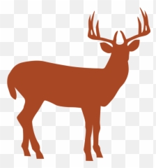 Home - North River Outfitting Background Deer In Sunset png