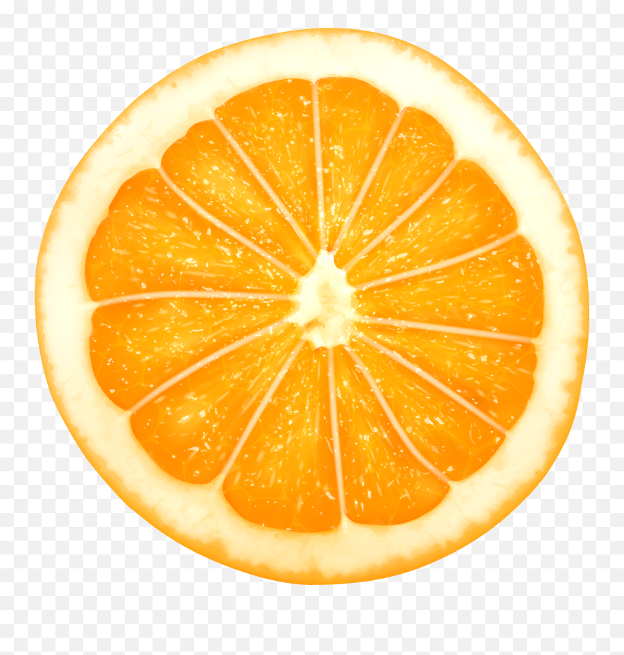 Orange Slice Png Clip Art Transparent - Orange Slice On Top Png,Orange Slice Png