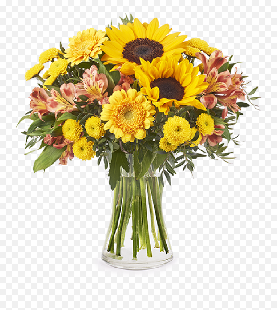 Download Hd Sunflowers U0026 Chrysanthemums - Sunflower In Mason Sunflowers In Mason Jars Png,Sunflowers Transparent