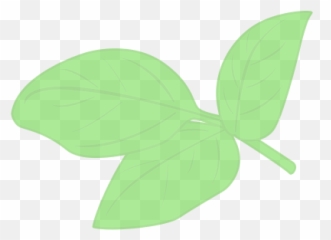 Basil U2013 The Lills - Illustration Png,Basil Png