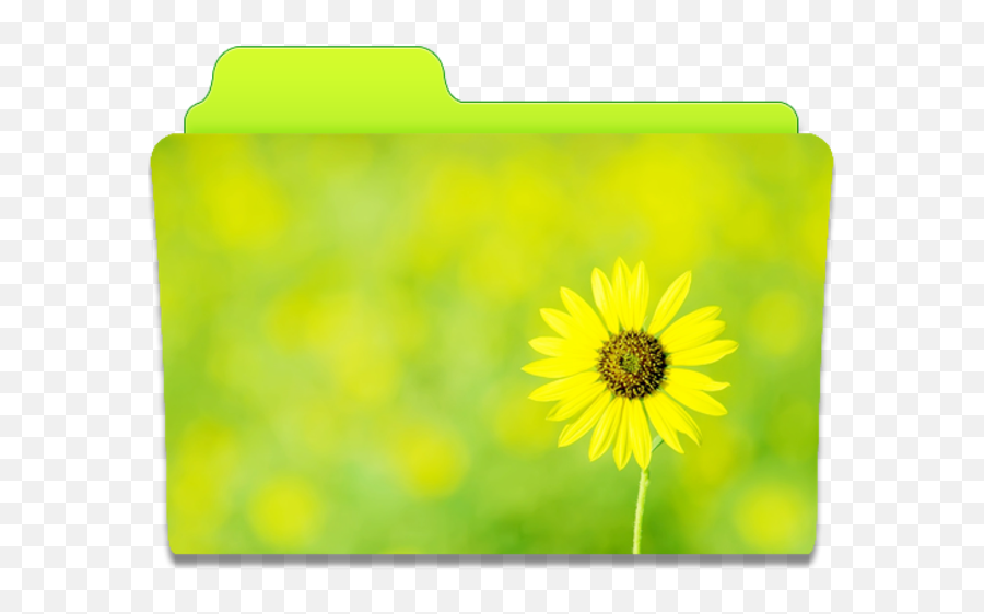 Folder Sunflower Icon Cute Folders Iconset Anabella Falivene - Flower Icon Folders Png,Folders Png