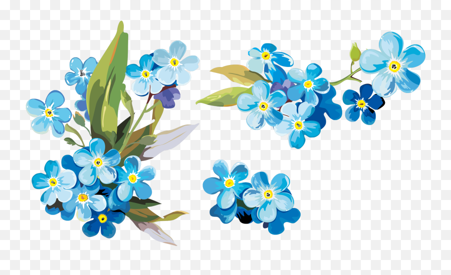 Forget Me Not Flowers Png Free - Forget Me Not Painting,Forget Me Not Png