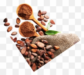 Centro De Innovación Del Cacao - Imagen De Chocolate Y Cacao Png,Cacao Png