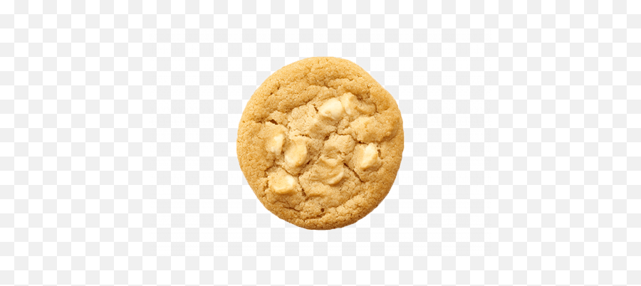 White Chocolate Macadamia Nut Cookie Dough - Fundraisers White Macadamia Nut Cookie Png,Cookies Transparent