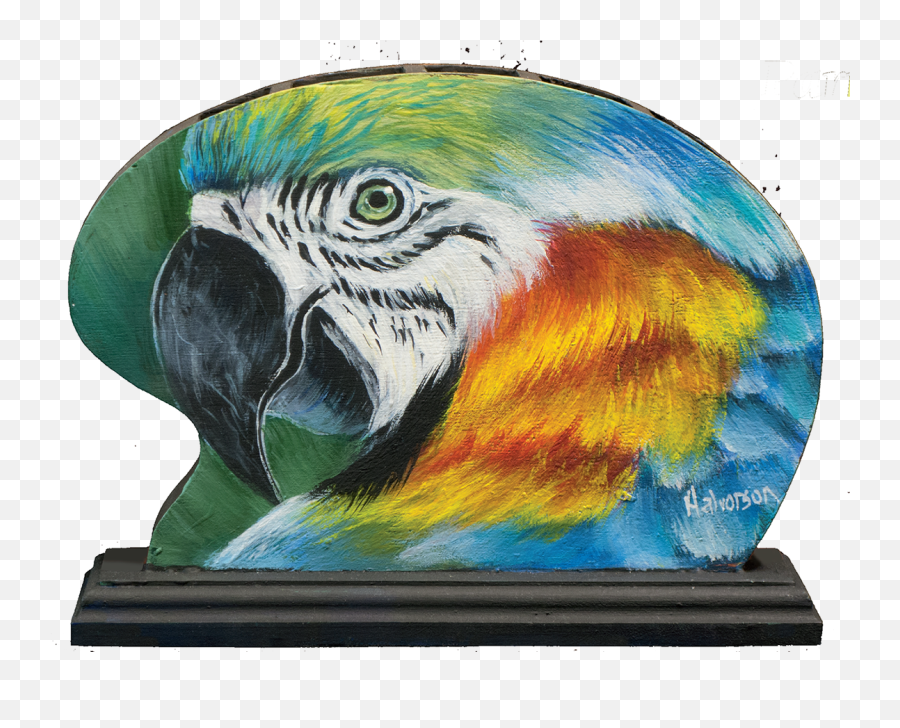 1 - Macaw Full Size Png Download Seekpng Art Paint,Macaw Png