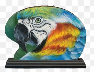 1 - Macaw Full Size Png Download Seekpng Art Paint,Macaw Png
