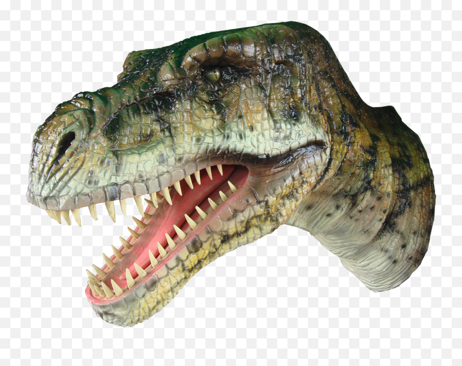 Download Dinosaur Head Hanging - Tyrannosaurus Full Size Png,Tyrannosaurus Png