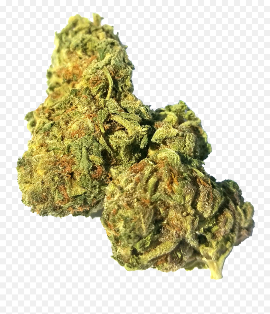 Kush Png U0026 Free Kushpng Transparent Images 75755 - Pngio Jack Herer Weed Strain,Weed Nugget Png