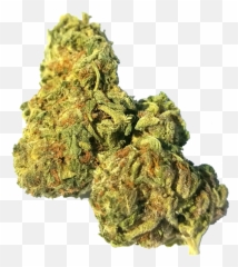 Kush Png U0026 Free Kushpng Transparent Images 75755 - Pngio Jack Herer Weed Strain,Weed Nugget Png