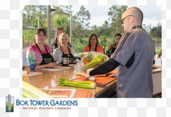 Cracker Culture Florida Pioneer Dinner U0026 Swamp Cabbage - Leisure png