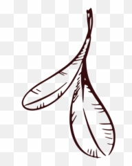 Two Leaves Decoration Hand Drawn - Transparent Png Lovely,Drawn Heart Outline Png