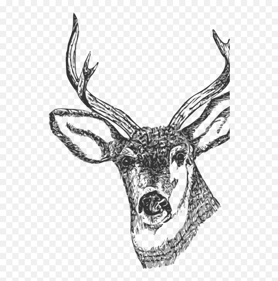 Deer Head Clip Art - Small Drawing Of A Deer Head Png,Deer Icon Tumblr