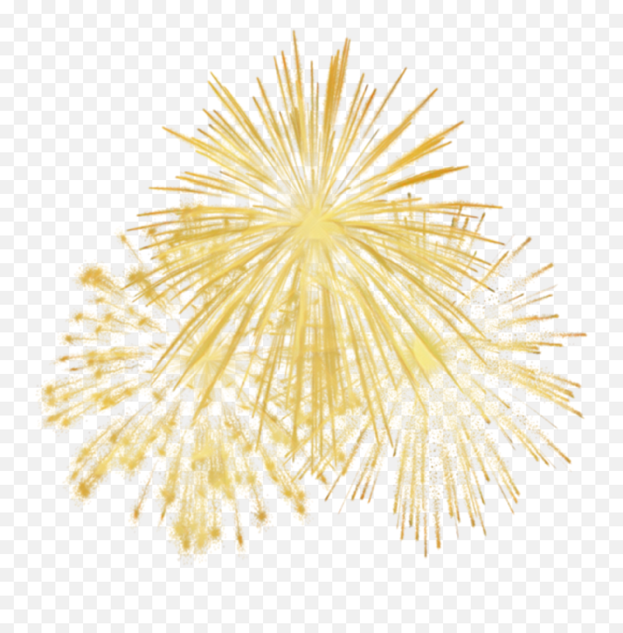 Gold - Gold Transparent Fireworks Png,Gold Fireworks Png