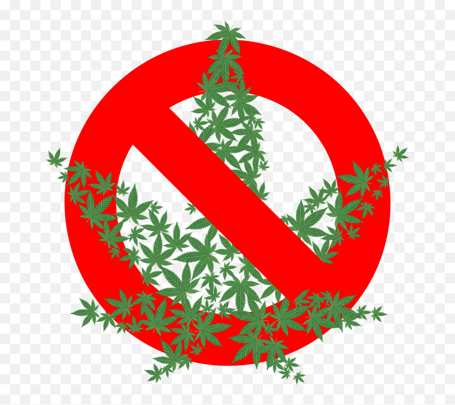 Marihuana Drogas Prohibido - Gráficos Vectoriales Gratis En Conduire Sous L Emprise De Stupéfiants Png,Prohibido Png