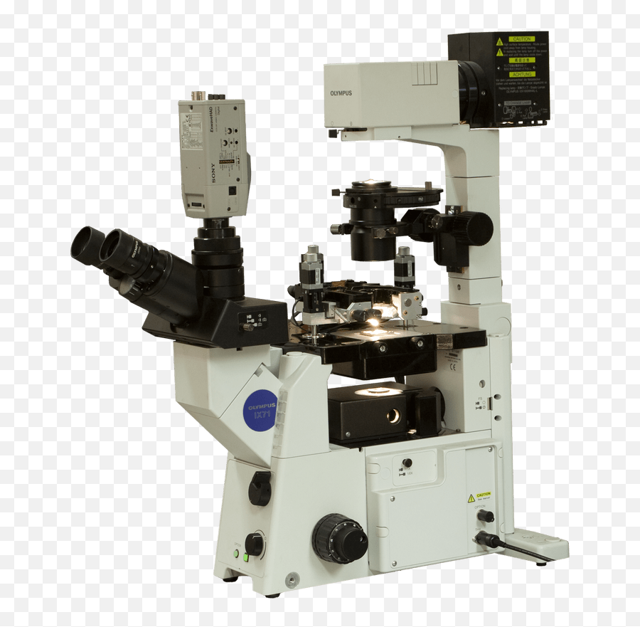 Certus Optic Atomic Force Microscope - Scanning Probe Microscope Parts Png,Microscope Transparent Background