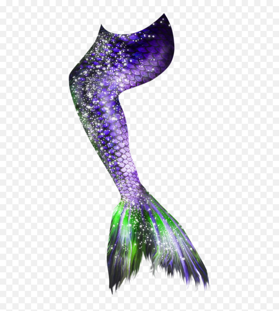Mermaid Tail 17 Png - Transparent Mermaid Tail Png,Mermaid Tail Png