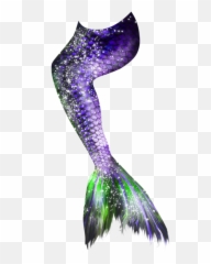 Mermaid Tail 17 Png - Transparent Mermaid Tail Png,Mermaid Tail Png