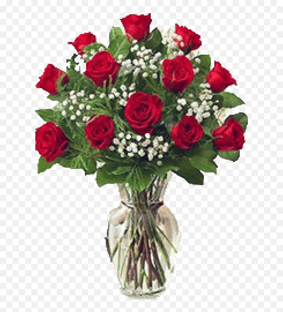 Download Dozen Roses With Babys Breath - 1 Dozen Red Roses Png,Baby's Breath Png