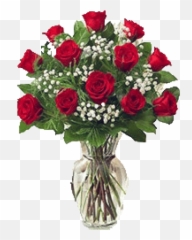 Download Dozen Roses With Babys Breath - 1 Dozen Red Roses Png,Baby's Breath Png