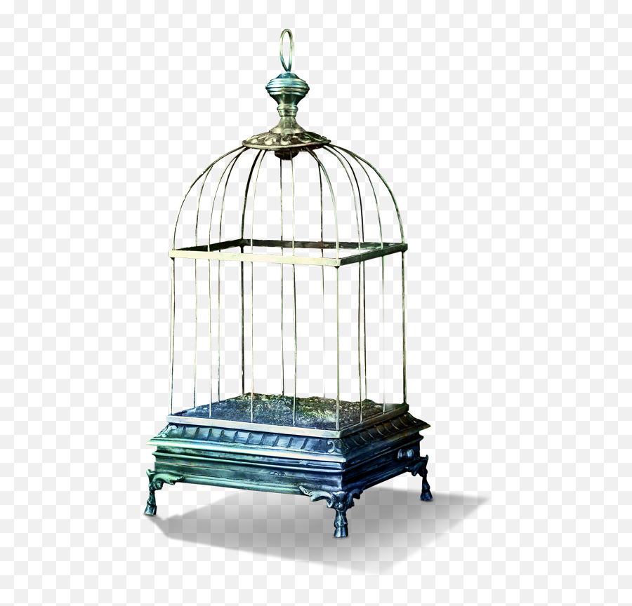Download Tubes Bird Cage Png Image - Cage À Oiseaux Png,Bird Cage Png