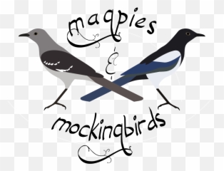 Magpies Mockingbirds - Mockingbird Vs Magpie Png,Mockingbird Png