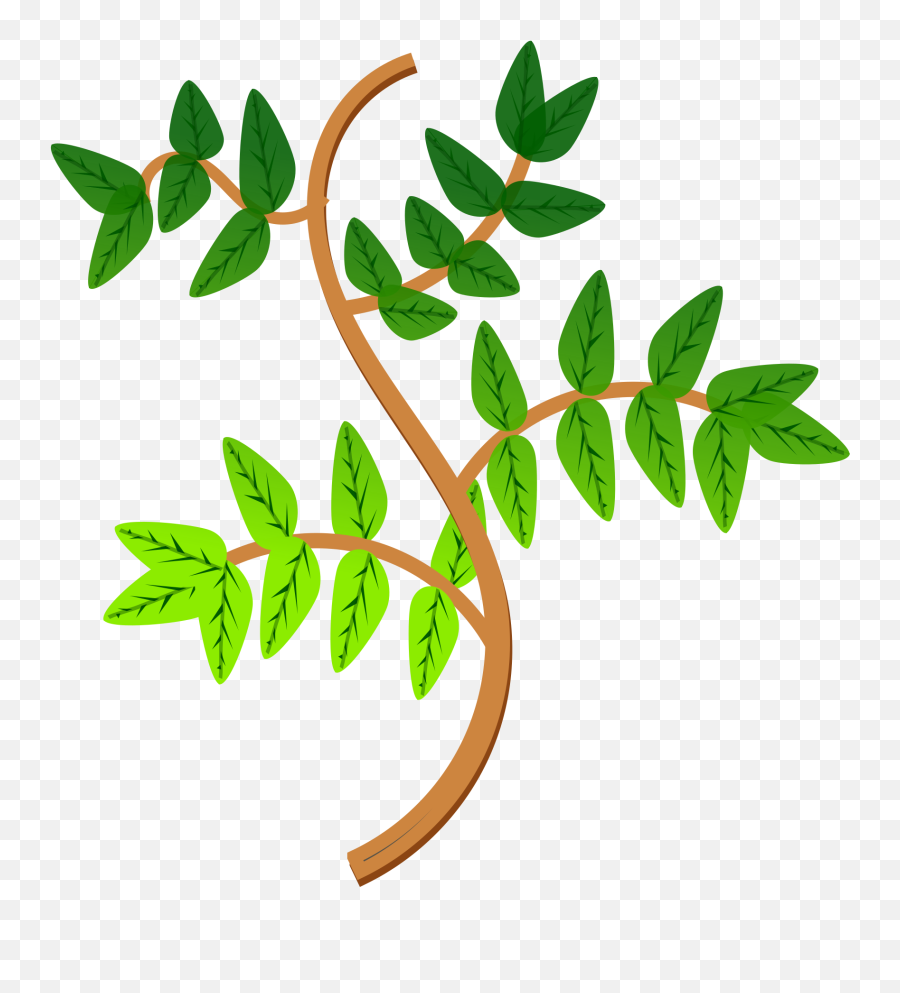 Leaves Branch Leaf - Ramas Con Hojas Animado Png,Green Plant Png