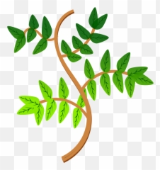 Leaves Branch Leaf - Ramas Con Hojas Animado Png,Green Plant Png