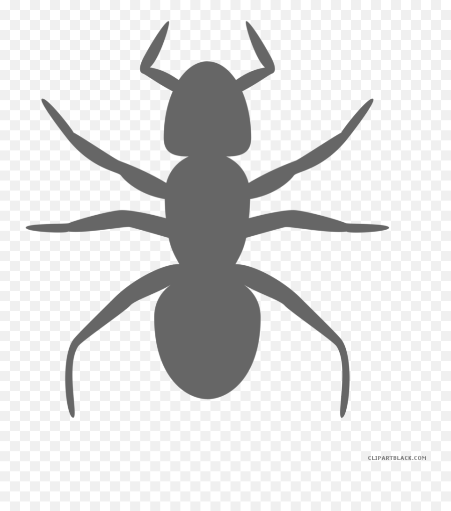 Download Ant Clipart Black And White - Silhouette Ant Clip Art Png,Ant Transparent Background