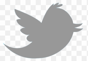 Index Of - Grey Twitter Logo Transparent png
