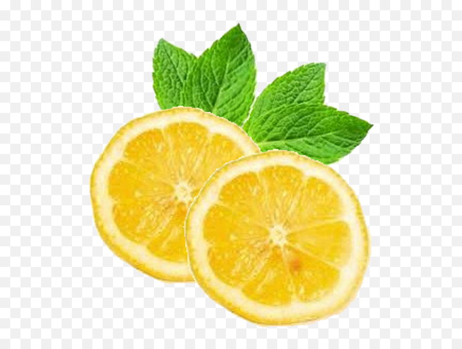 Lemonsmintlemoncitrusgarnish - Free Image From Needpixcom Transparent Lemon Top View Png,Lemon Transparent Background