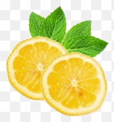 Lemonsmintlemoncitrusgarnish - Free Image From Needpixcom Transparent Lemon Top View Png,Lemon Transparent Background