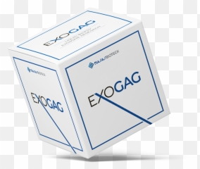 Nasasbiotech U2013 A New Approach For Fighting Cancer - Horizontal Png,Exo Logo