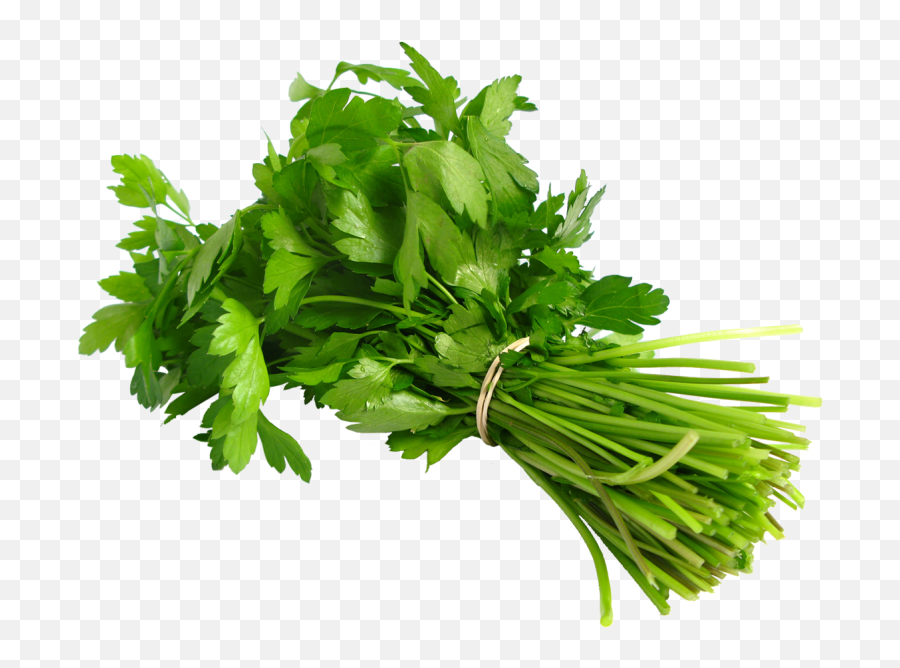 Parsley Transparent Png Image - Fresh Dhania,Parsley Png