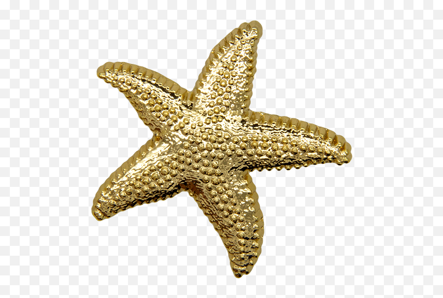 Download Hd Starfish Pin Gold Shine - Starfish Transparent Starfish Png,Starfish Transparent
