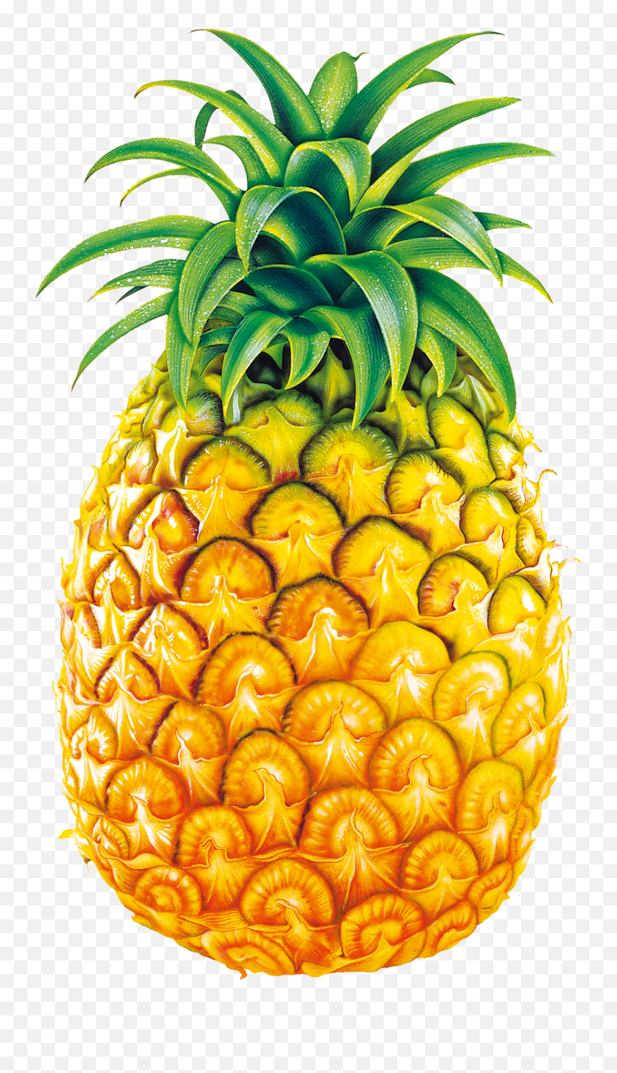 Lemons Clipart Pineapple Transparent Free - Pineapple Fruits Clipart Png,Pineapple Transparent