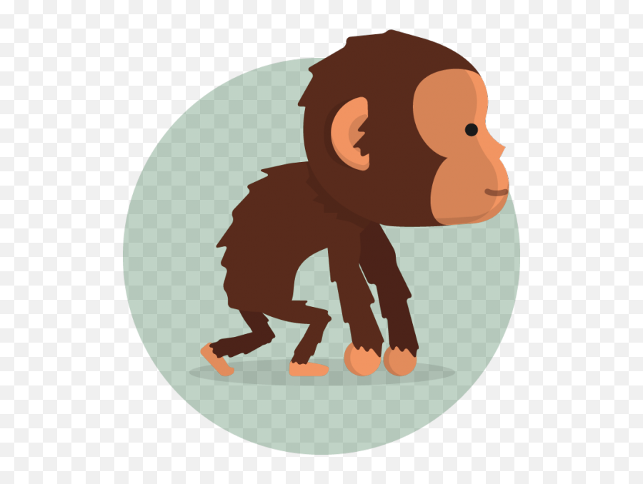 Monkey Boy Clipart - Full Size Clipart 2388580 Pinclipart Macaque Png,New Year Icon 2015