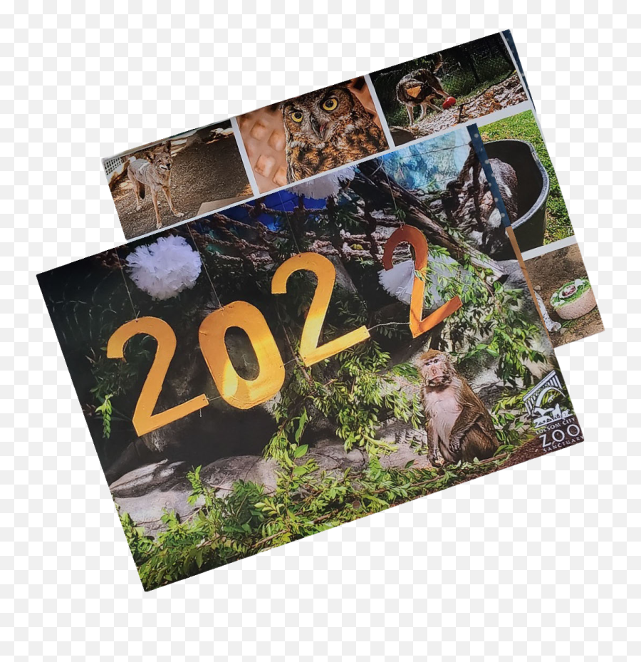 Home - Folsom Zoo Sanctuary Friends Collage Png,Icon Sanctuary Review