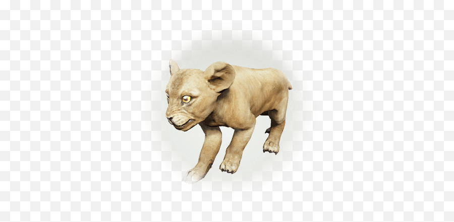 Defeat Pride Of Lions - Bdo Codex Bdo Naughty Lion Png,Lioness Icon