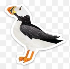 Stickers U2013 Anne Green Design - Falconiformes Png,Puffin Icon