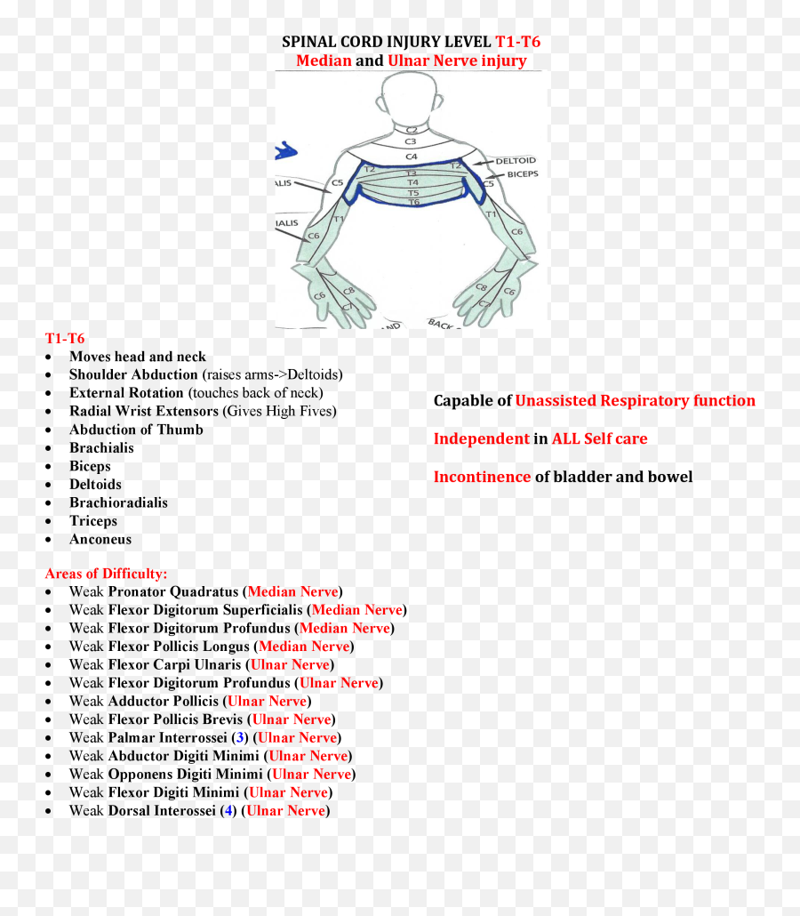 2 Neuro Int I - Treatment Flashcards Quizlet Spinal Cord At T6 Level Png,Icon Stryker Vest Green