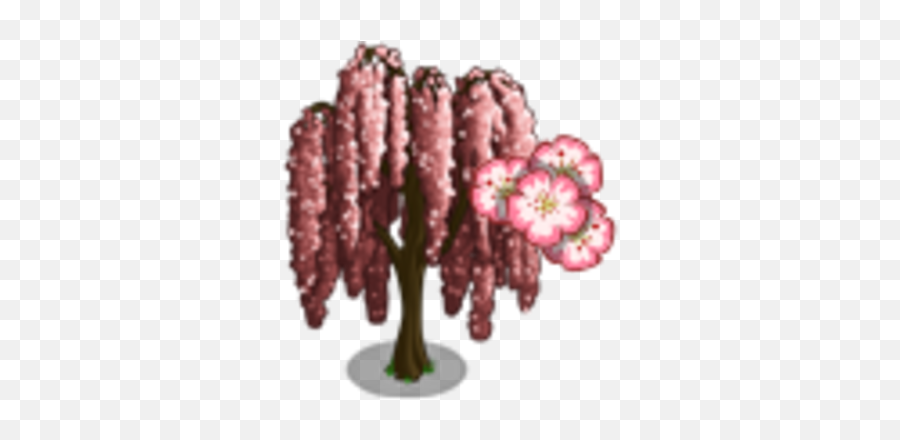 Weeping Cherry Tree Farmville Wiki Fandom Png Icon