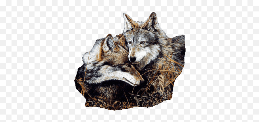 Top Teen Wolf 3 X 14 Stickers For Android U0026 Ios Gfycat - Briefpapier Wolf Png,Animated Wolf Icon
