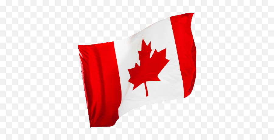 Download Canada Flag Logo Free Png Icon Transparent Images - Transparent Canada Flag Png,Canadian Maple Leaf Icon