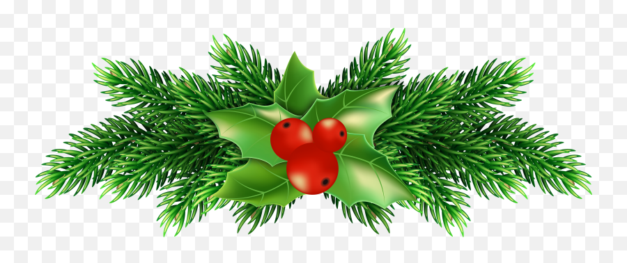 Christmas Holly Pine Png Clip Art Image - Happy Holidays Transparent Background,Christmas Holly Png