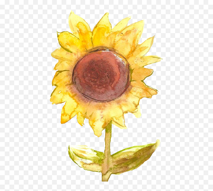 Art Flowers Yellow Transparent Sunflower Trans - Parent U2022 Portable Network Graphics Png,Watercolor Sunflower Png