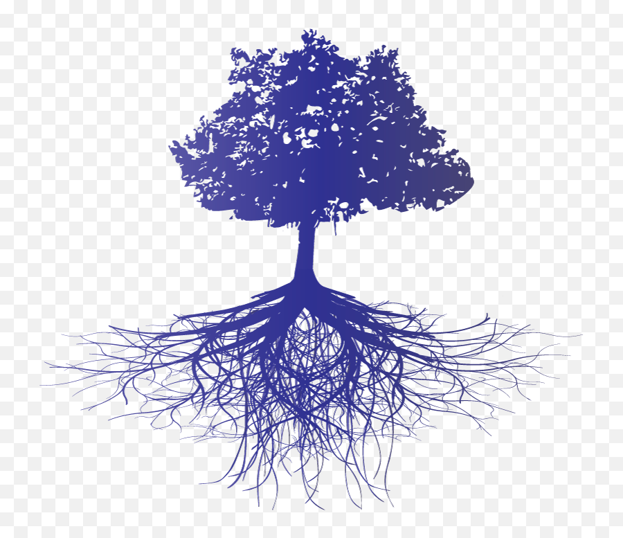 Tree Roots Png - White Pine 1137368 Vippng Tree Root Silhouette Purple,Chris Pine Png