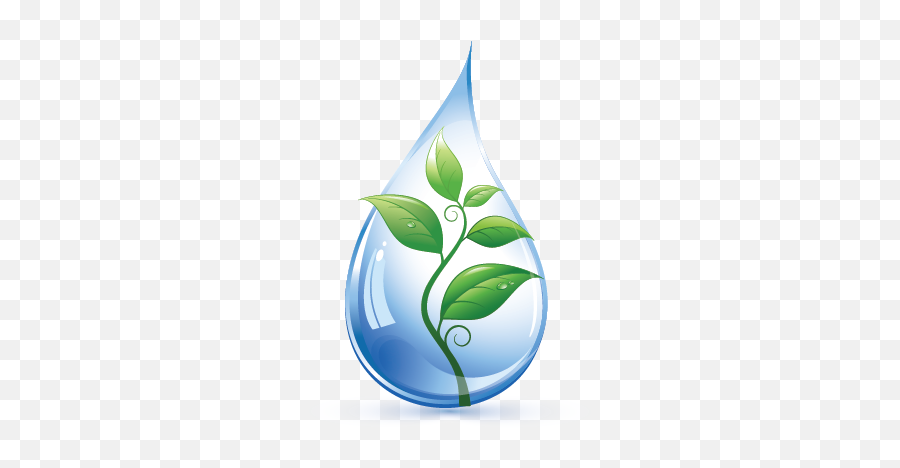 Drop Leaf Logo Template - Illustration Png,Water Drop Logo