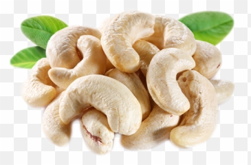 Cashew Palace U2013 Nut Processor And Exporter - Cashew Nødder Png,Cashew Png