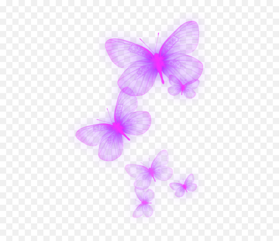 Neon Purple Lila Butterfly Schmetterling - Transparent Butterfly Neon Png,Purple Butterfly Png